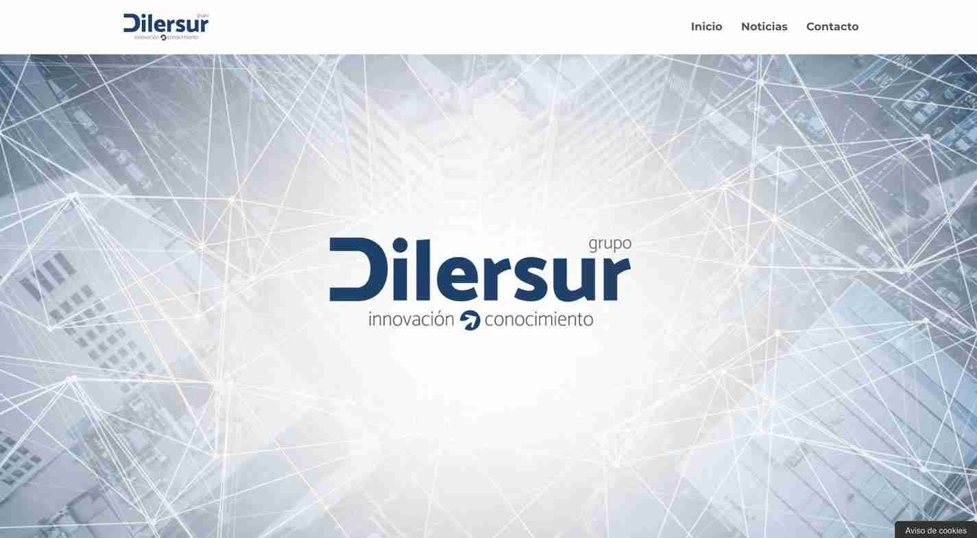 Dilesur Web check and Design