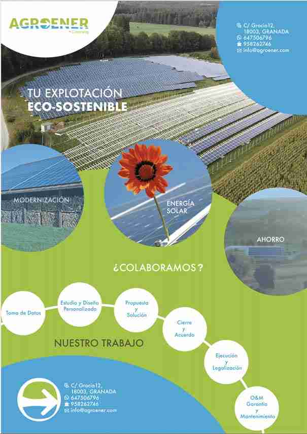 Flyer Agroener