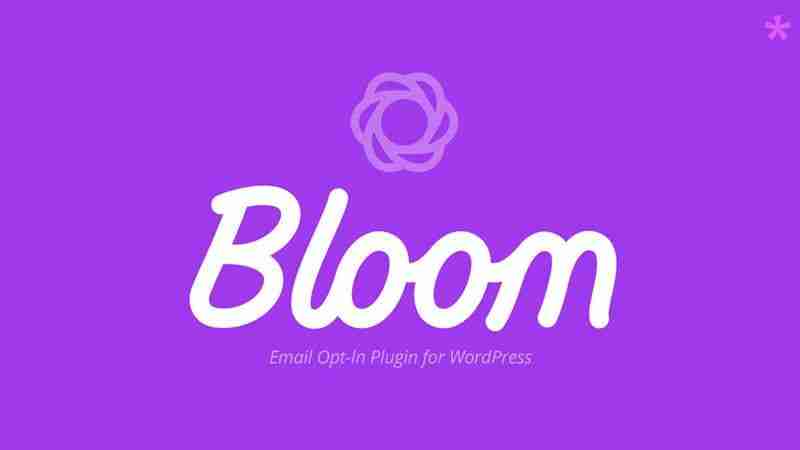 📧 Cómo configurar Bloom para captar suscriptores en tu web