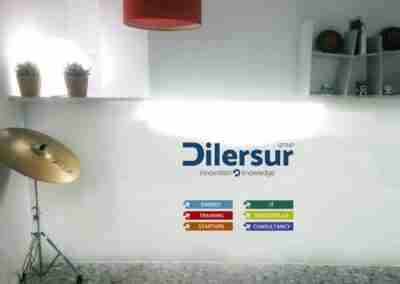 Encargo Vinilo Troquelado_ Adaptación y Rediseño del Grupo Dilersur y sus Secciones