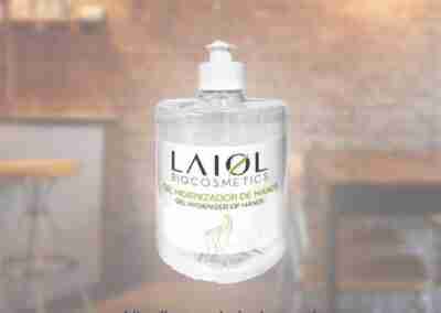 Flyer Laiol Gel Desinfectante