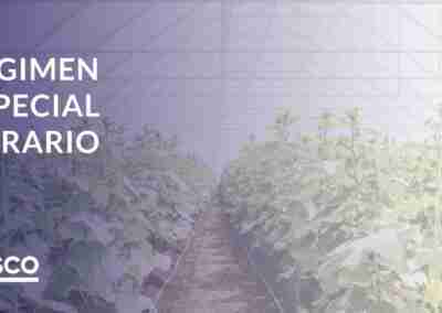 Efisco – Blog – Post Portadas