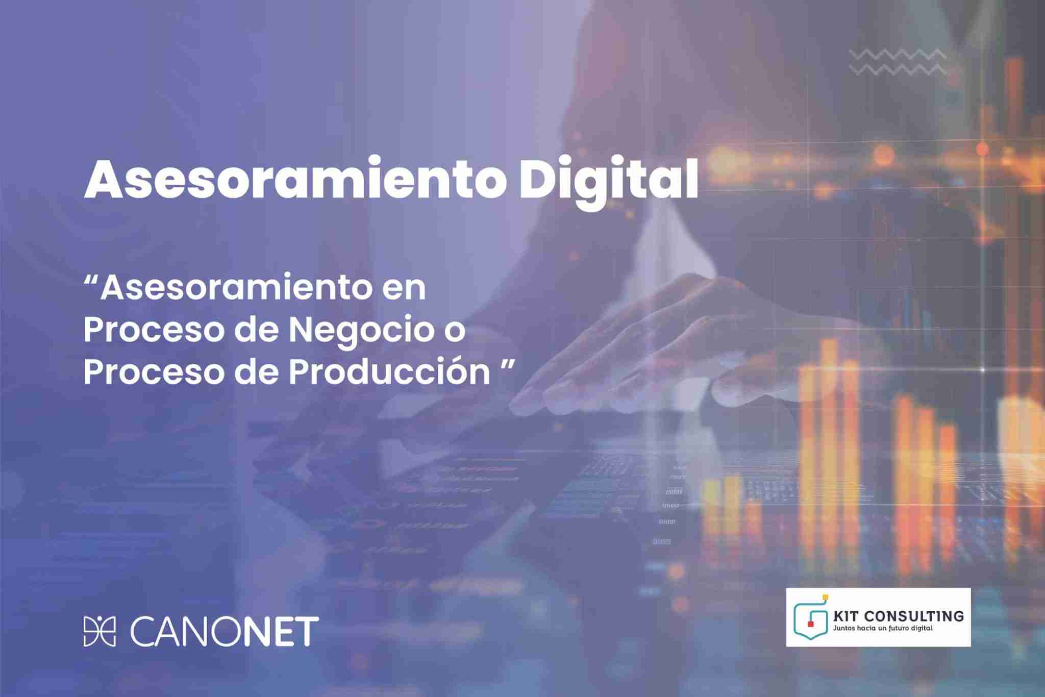 Servicio de Asesoramiento en Proceso de Negocio o Proceso de Produccion