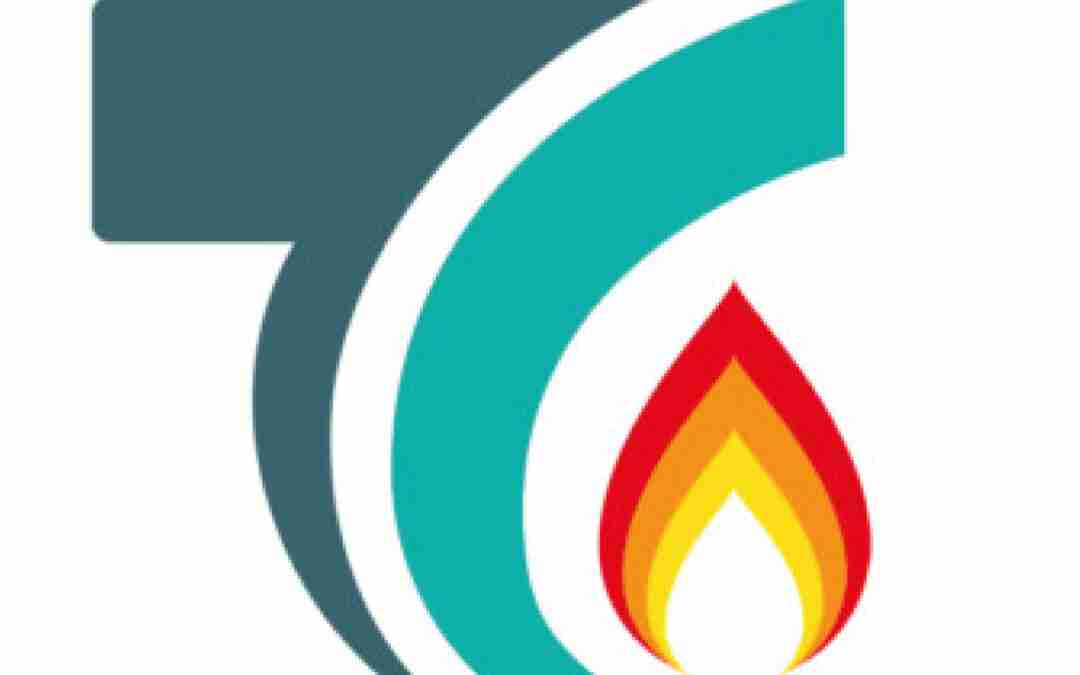 Térmycal- SEO AVANZADO