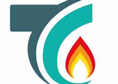 Térmycal- SEO AVANZADO