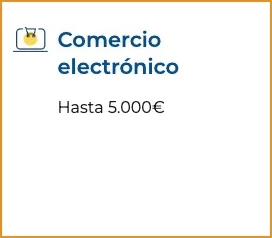 asset 10
